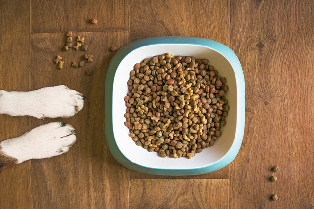 Types of food for dogs