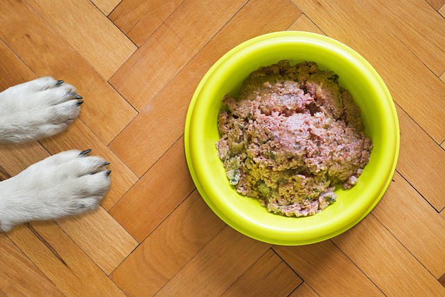 Wet food for dogs